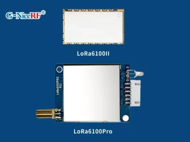 Diff&eacute;rence entre les modules Uart LoRa LoRa6100II et LoRa6100Pro
